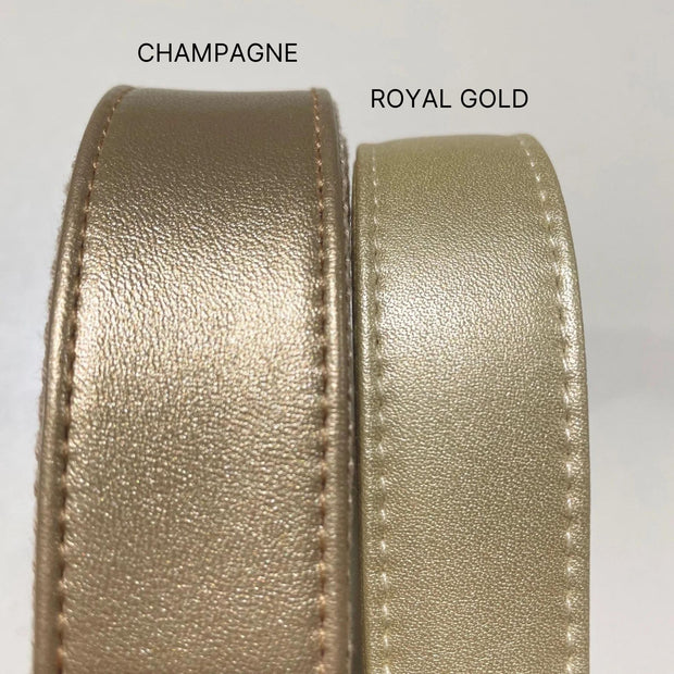 Royal Gold Collar & Leash Set