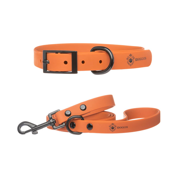 Dog collar kits hotsell