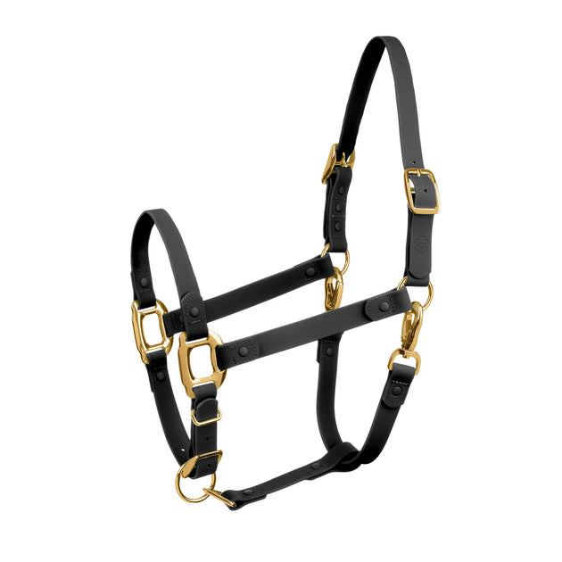 Horse halter project | iDoggos