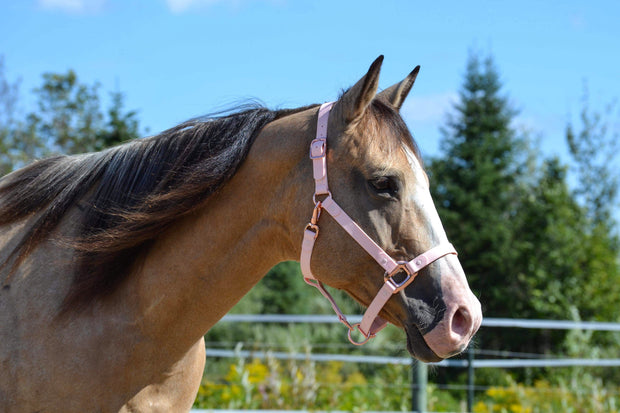 iCavalos Horse Lead Candy Pink
