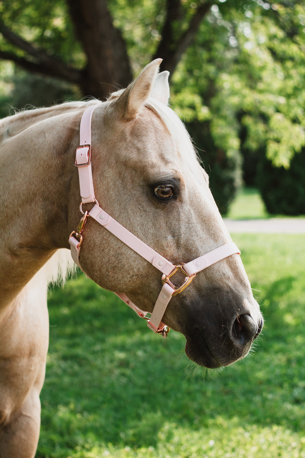 iCavalos Horse Halter Candy Pink