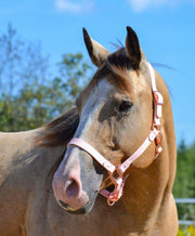 iCavalos Licol pour chevaux Candy Pink
