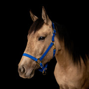 iCavalos Horse Set Halter + Lead