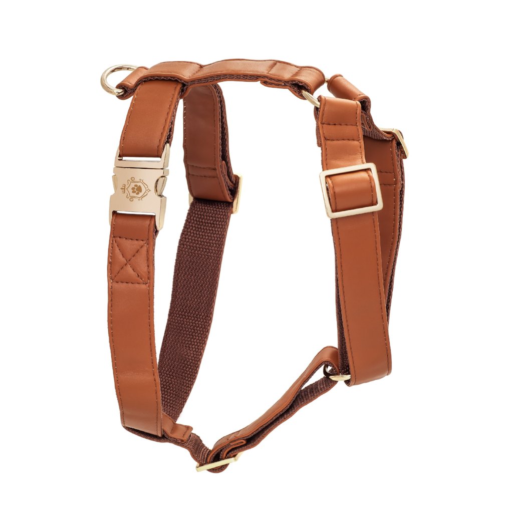Strap harness – iDoggos