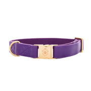 Purple Lavender Collar