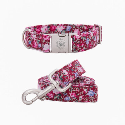 Rosa Collar & Leash Set