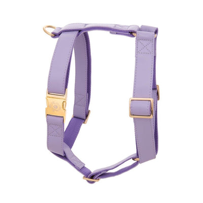 Purple Lilac Harness