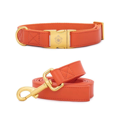 Pumpkin Collar & Leash Set