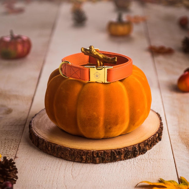 Collier Pumpkin