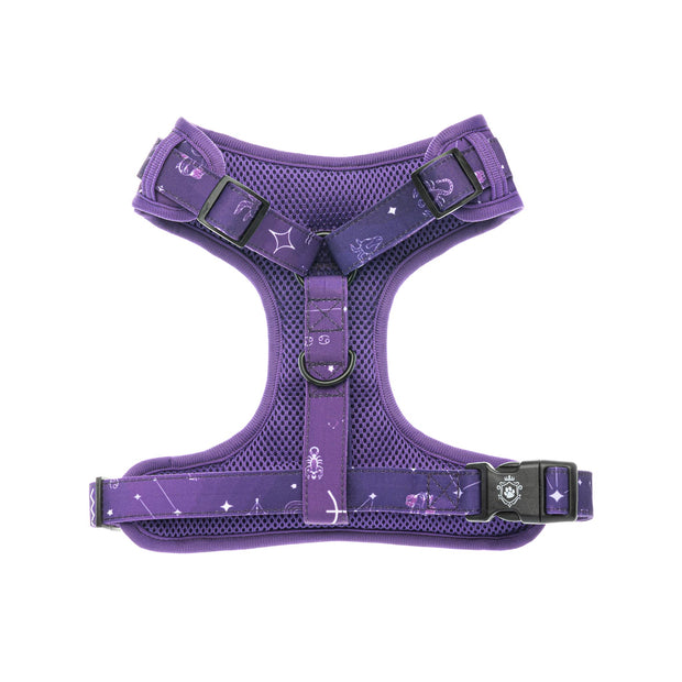 Astrology Leash & Harness Set