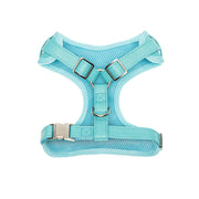 Icy Blue Harness