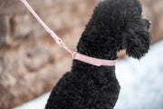 Baby Pink Leash