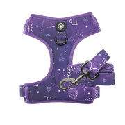 Astrology Leash & Harness Set