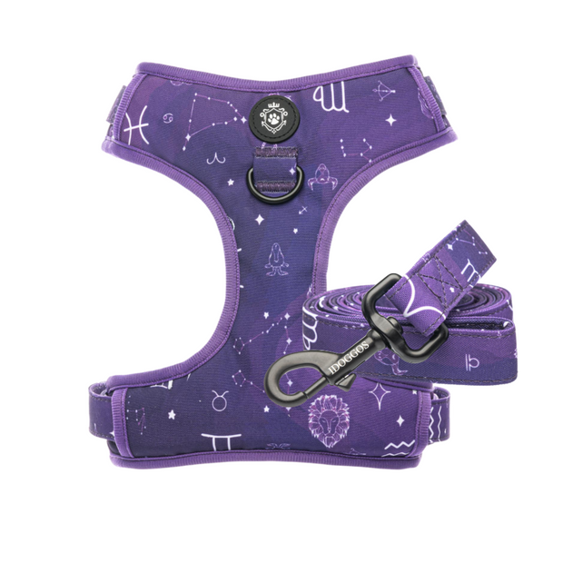 Astrology Leash & Harness Set