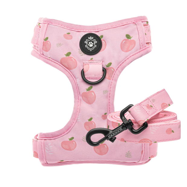 Peach Leash & Harness Set