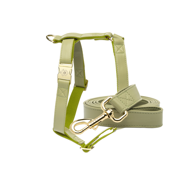 Olive Leash & Harness Set