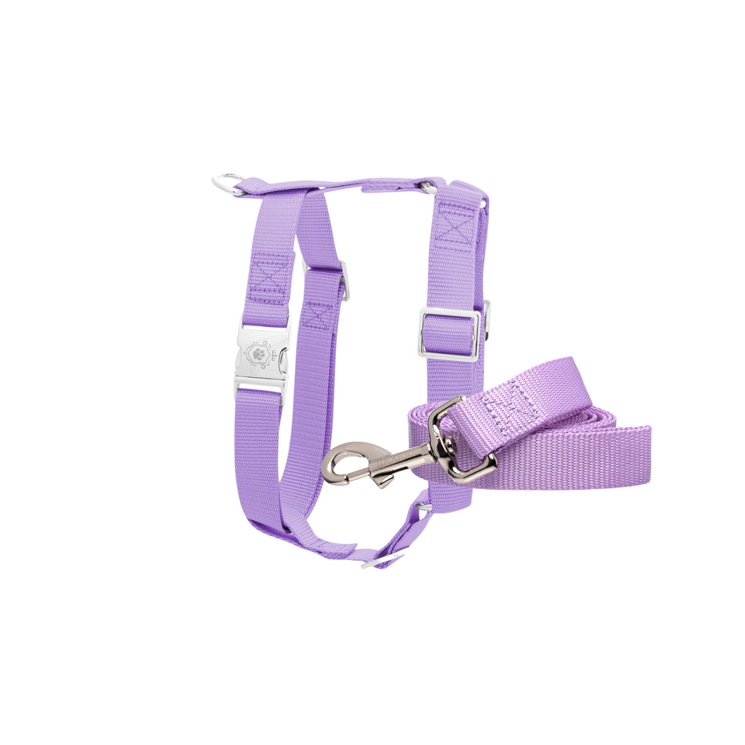 Sahara Dog Leash and Harness Set by iDoggos, buy Best Seller Pet Leash and Harness Set, High Quality & Handmade Dog Leash + Harness Set