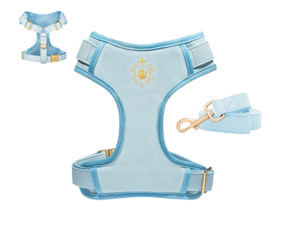Baby Blue Leash & Harness Set