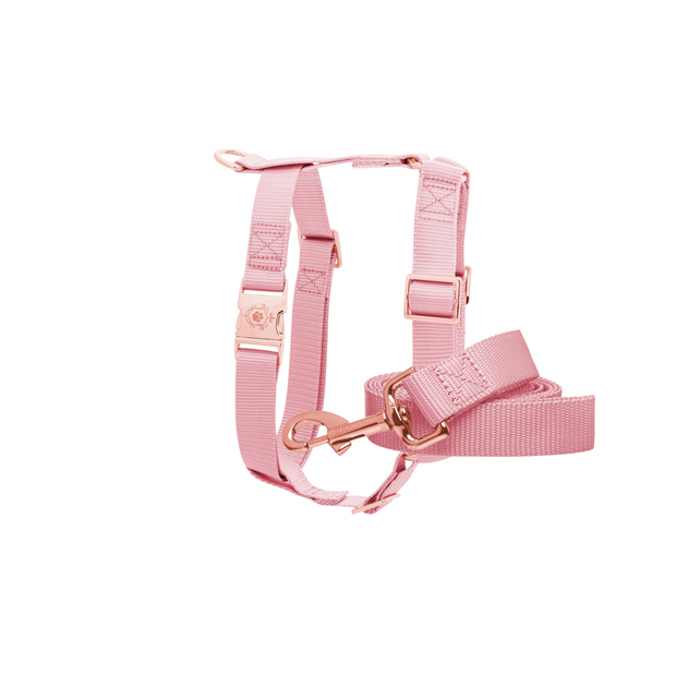 Pinky Leash & Harness Set