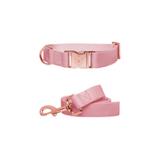 Pinky Collar & Leash Set