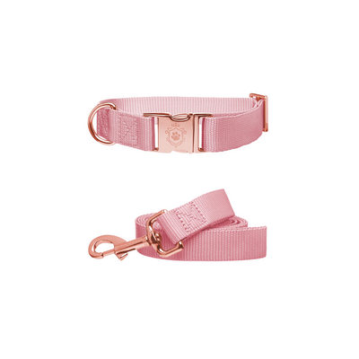 Pinky Collar & Leash Set