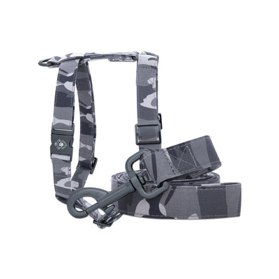 Alaska Leash & Harness Set
