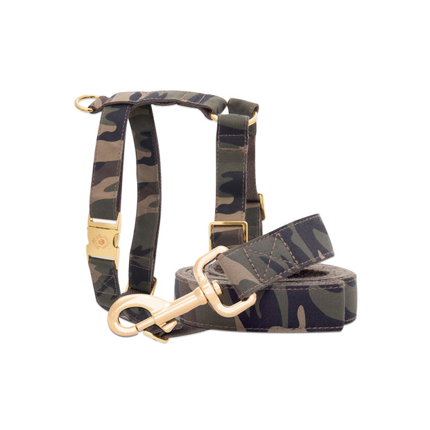 Camo Leash & Harness Set