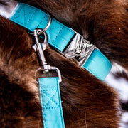 Icy Blue Collar & Leash Set