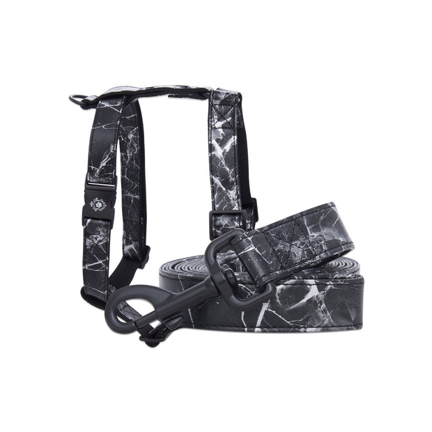 Onyx Leash & Harness Set