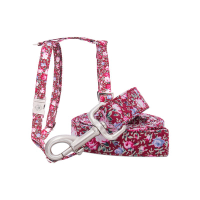 Rosa Leash & Harness Set