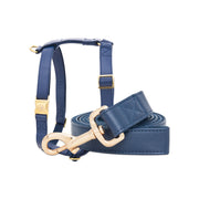 Royal Blue Leash & Harness Set