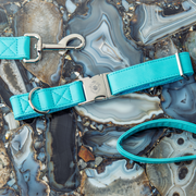 Icy Blue Leash & Harness Set