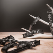 Onyx Leash & Harness Set