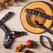 Onyx Leash & Harness Set