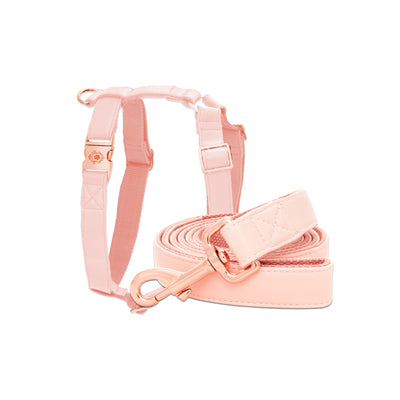 Candy Pink Leash & Harness Set