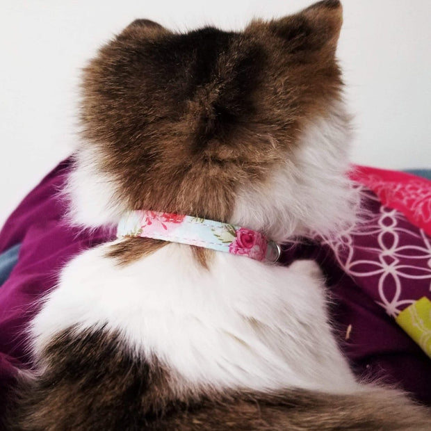 Flower Cat Collar