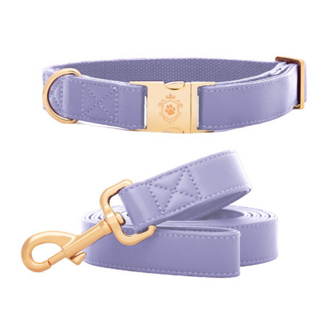 Ensemble de Collier et Laisse Purple Lilac