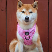 Peach Harness