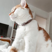 Tokyo Cat Collar
