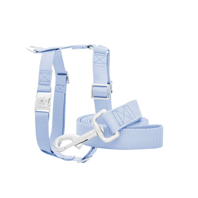 Aquamarine Leash & Harness Set