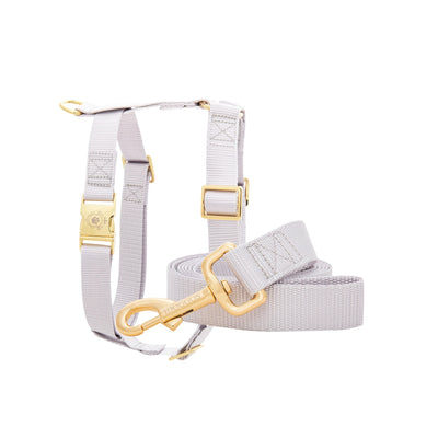 Opal Leash & Harness Set