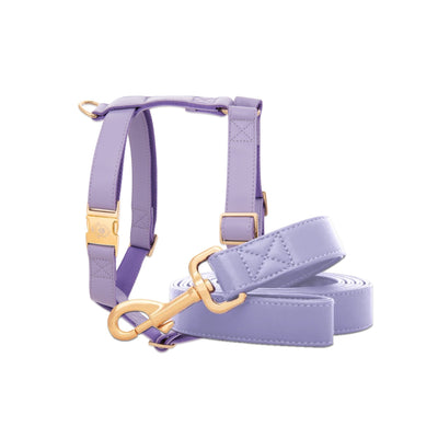 Purple Lilac Leash & Harness Set
